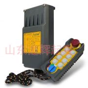 ̨ң,F21-E2,Yuding remote controller  F21-E2